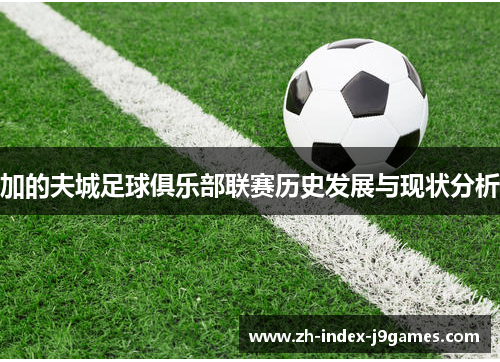 加的夫城足球俱乐部联赛历史发展与现状分析